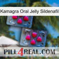 Kamagra Oral Jelly Sildenafil 14